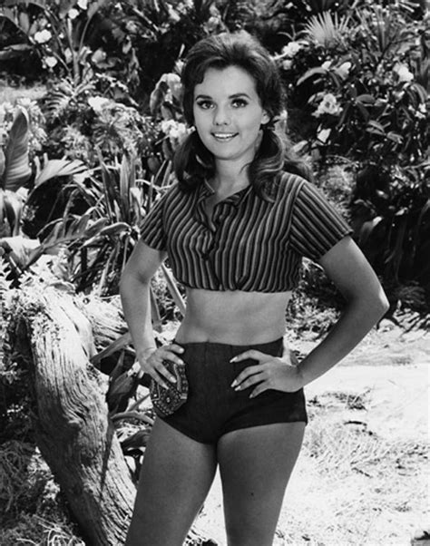 dawn wells bikini|331 Actress Dawn Wells Stock Photos & High